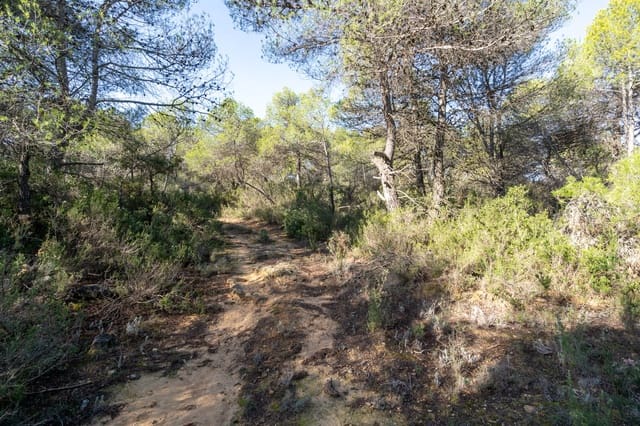 Quinta/Casa Rural para venda em Arens de Lledó - 10 000 € (Ref: 8671446)