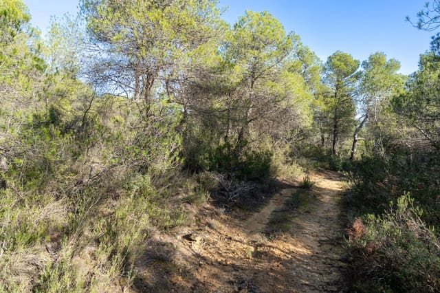 Quinta/Casa Rural para venda em Arens de Lledó - 10 000 € (Ref: 8671446)