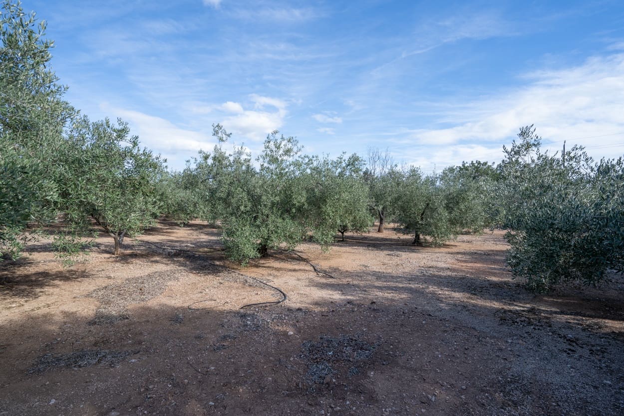 2 slaapkamer Finca/Landhuis te koop in Els Reguers - € 108.000 (Ref: 8697636)