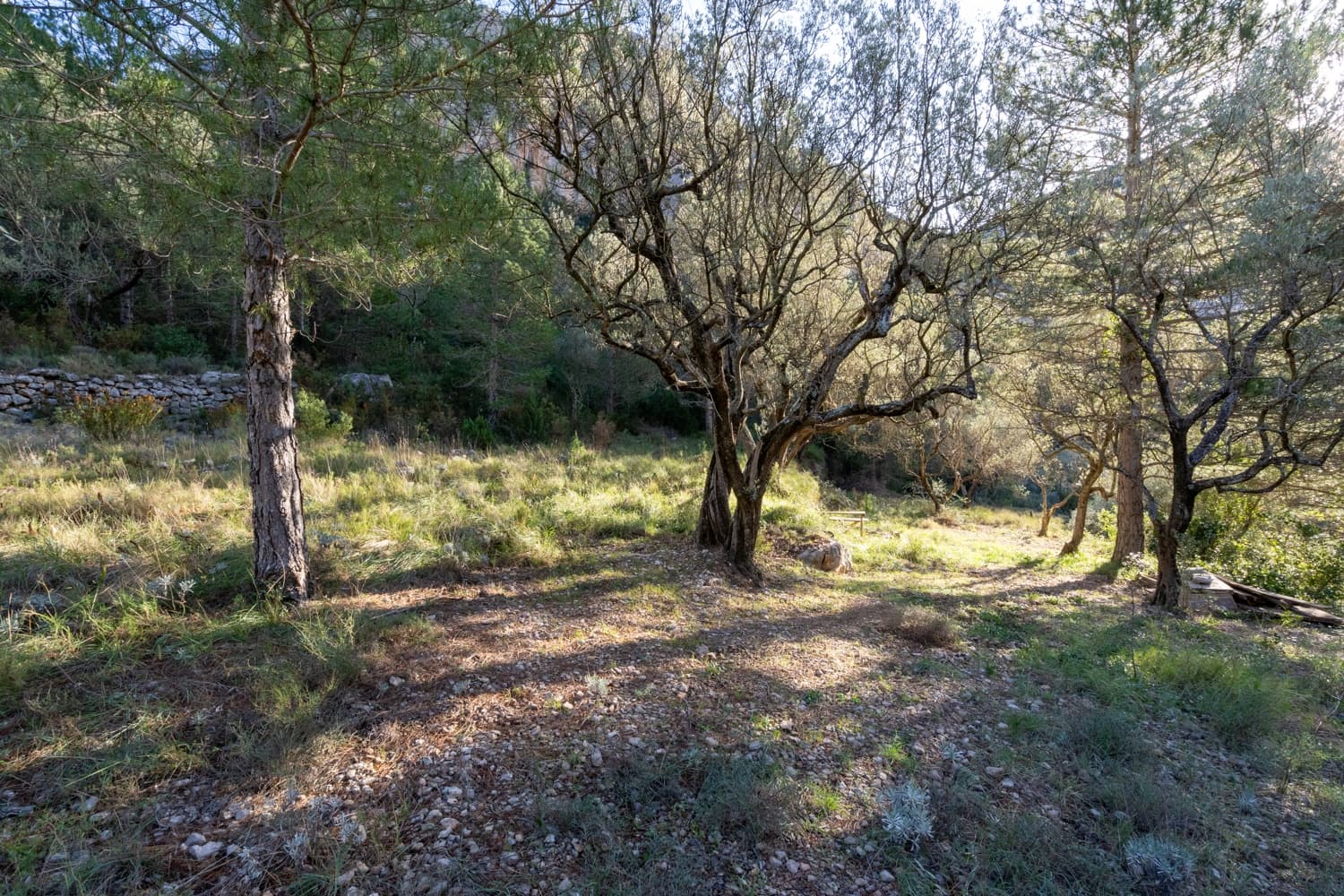 1 soverom Finca/Herregård til salgs i Mas de Barberans - € 50 000 (Ref: 8704973)