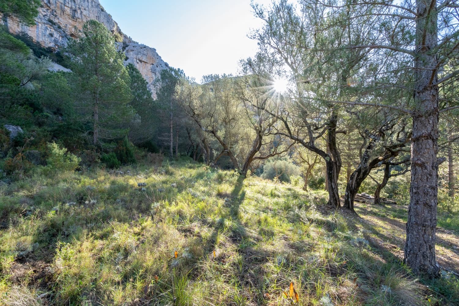 1 soverom Finca/Herregård til salgs i Mas de Barberans - € 50 000 (Ref: 8704973)