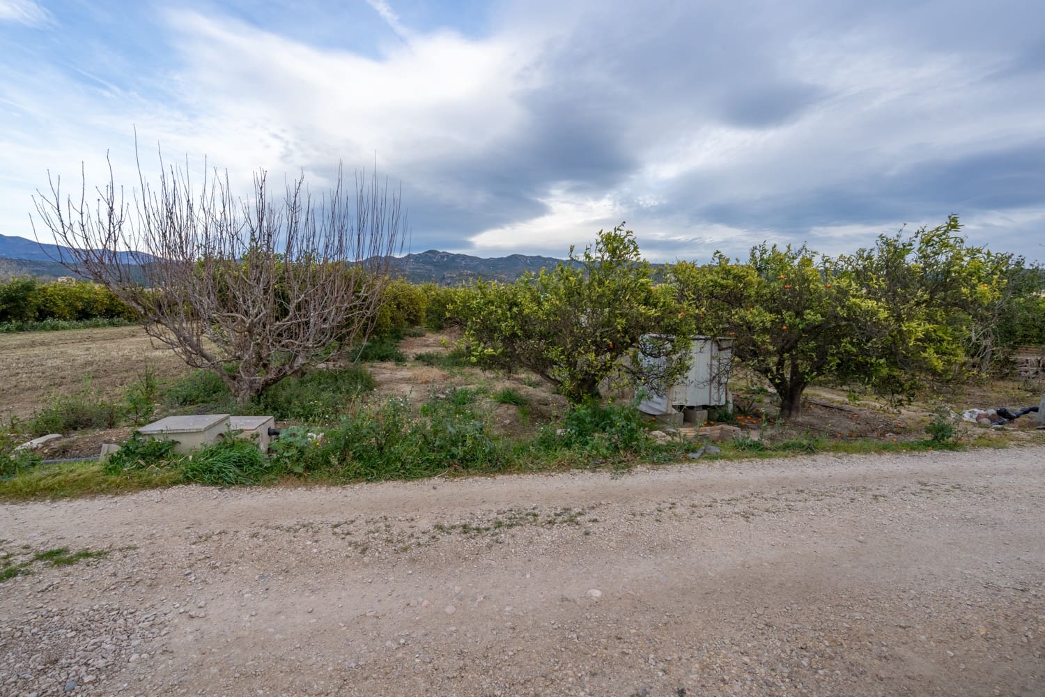 Finca/Maison de Campagne à vendre à Bitem - 53 000 € (Ref: 8716004)