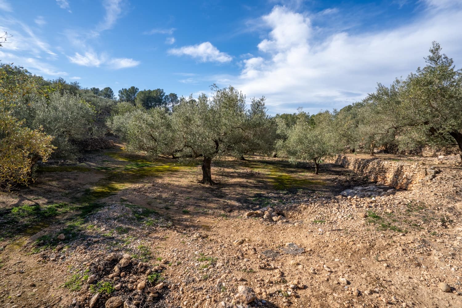 Finca/Landehus til salg i Bitem - € 15.000 (Ref: 8727926)