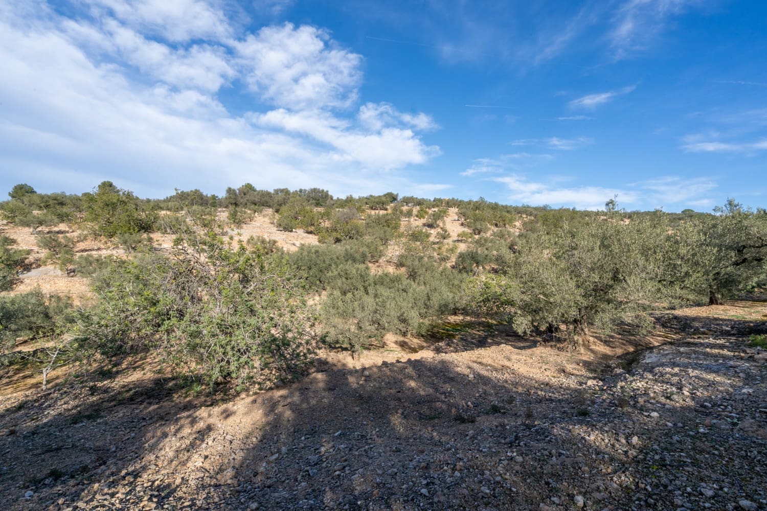 Finca/Landehus til salg i Bitem - € 15.000 (Ref: 8727926)