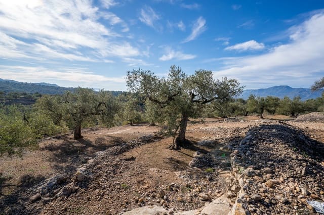 Finca/Maison de Campagne à vendre à Bitem, Tortosa - 15 000 € (Ref: 8727926)