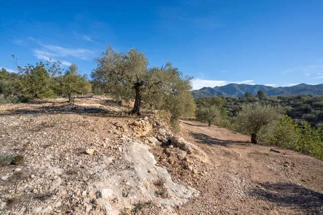Finca/Maison de Campagne à vendre à Bitem, Tortosa - 15 000 € (Ref: 8727926)