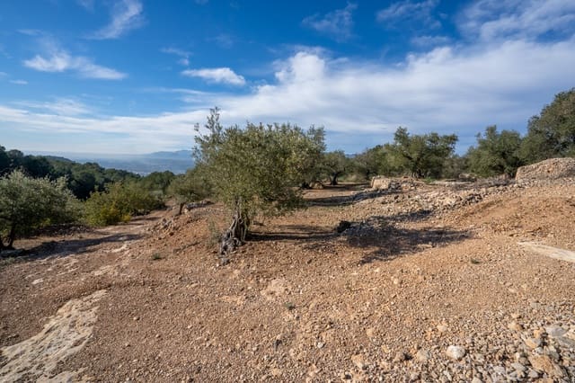 Finca/Maison de Campagne à vendre à Bitem, Tortosa - 15 000 € (Ref: 8727926)