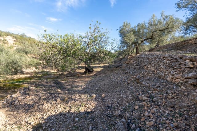 Finca/Maison de Campagne à vendre à Bitem, Tortosa - 15 000 € (Ref: 8727926)