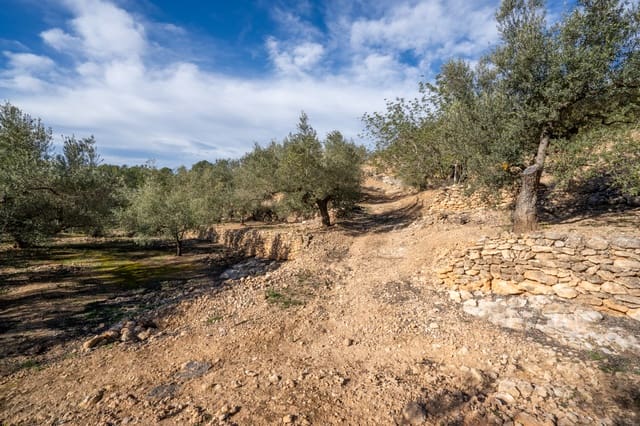 Finca/Maison de Campagne à vendre à Bitem, Tortosa - 15 000 € (Ref: 8727926)