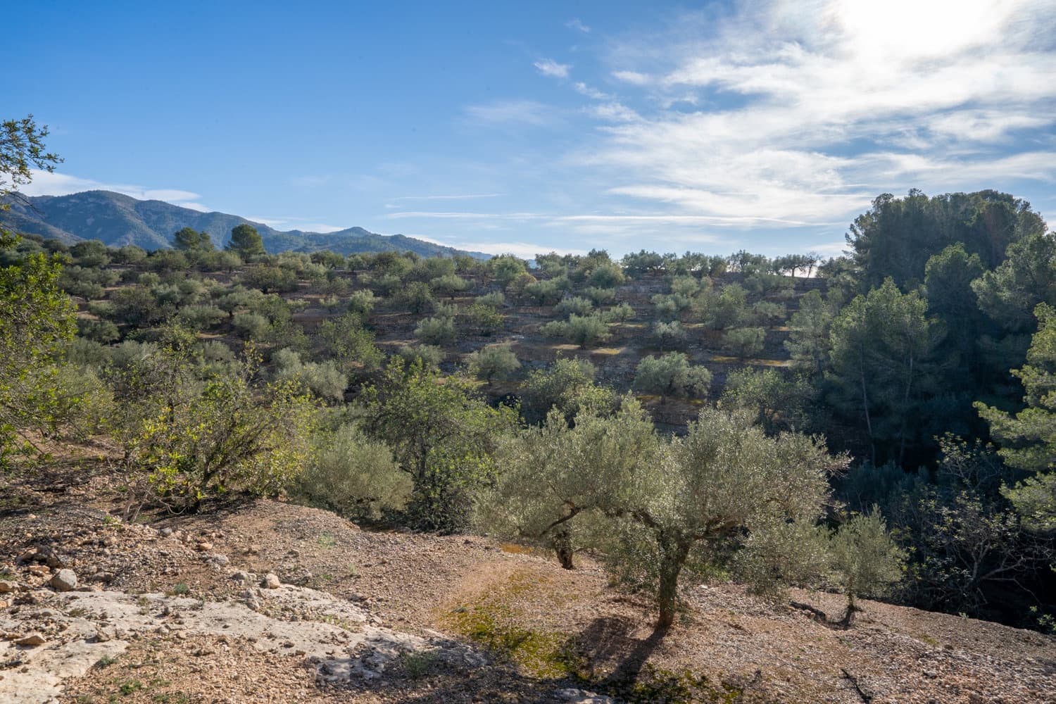 Finca/Landhuis te koop in Bitem - € 12.000 (Ref: 8727926)