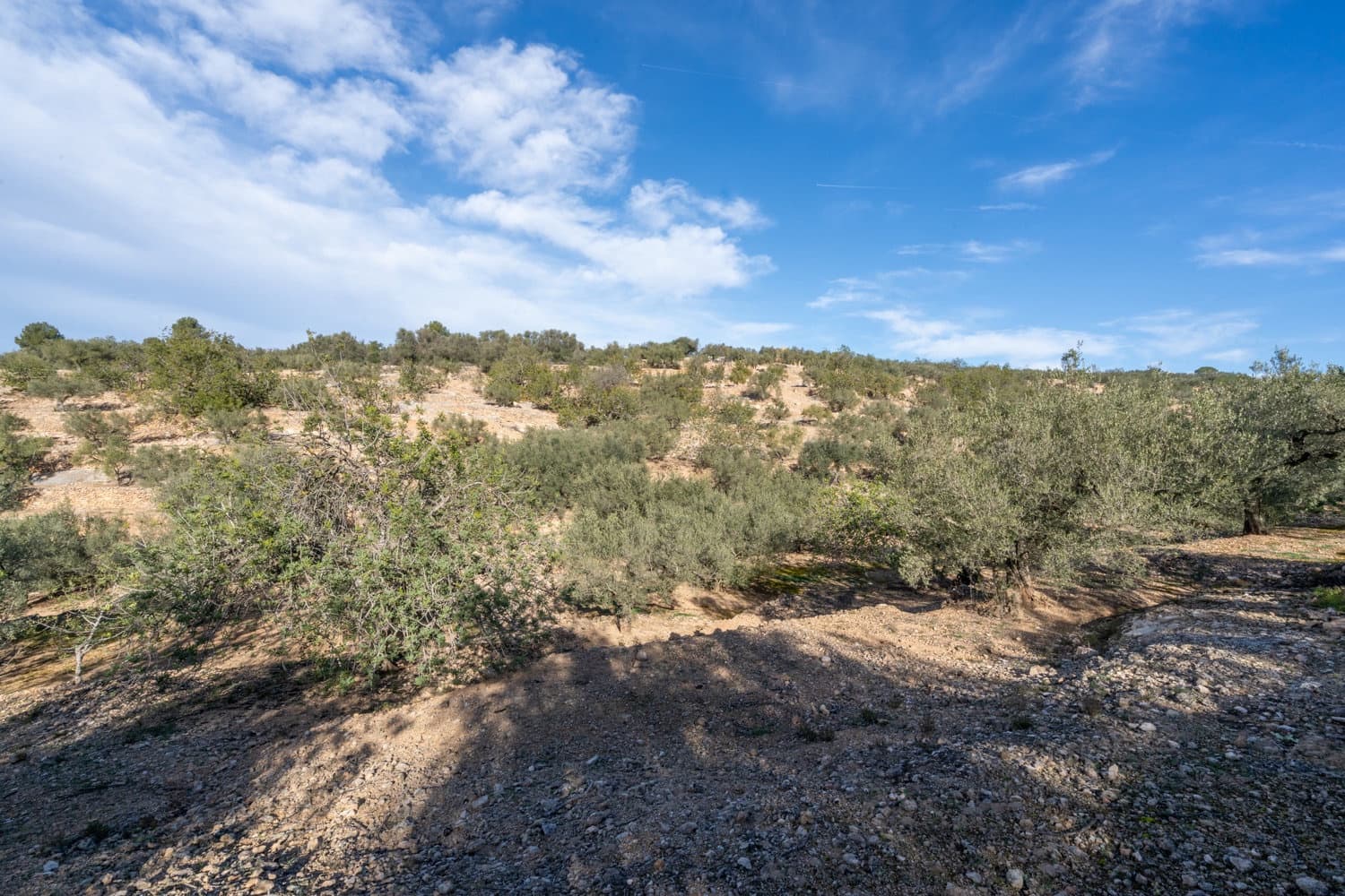 Finca/Landhuis te koop in Bitem - € 12.000 (Ref: 8727926)