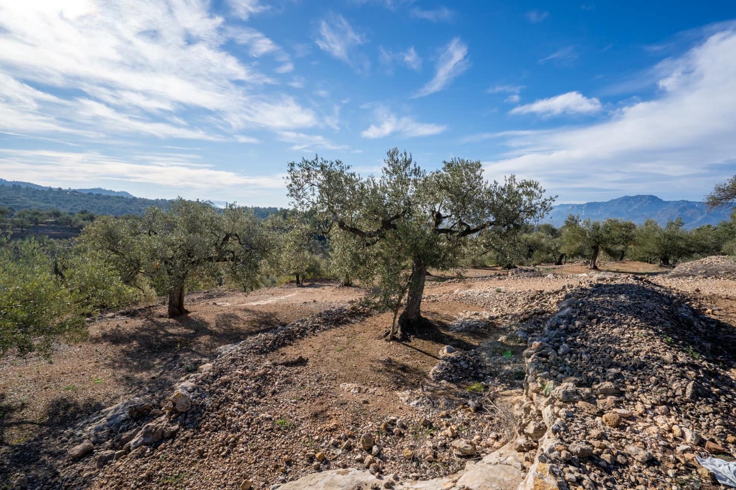 Finca/Landhuis te koop in Bitem - € 12.000 (Ref: 8727926)