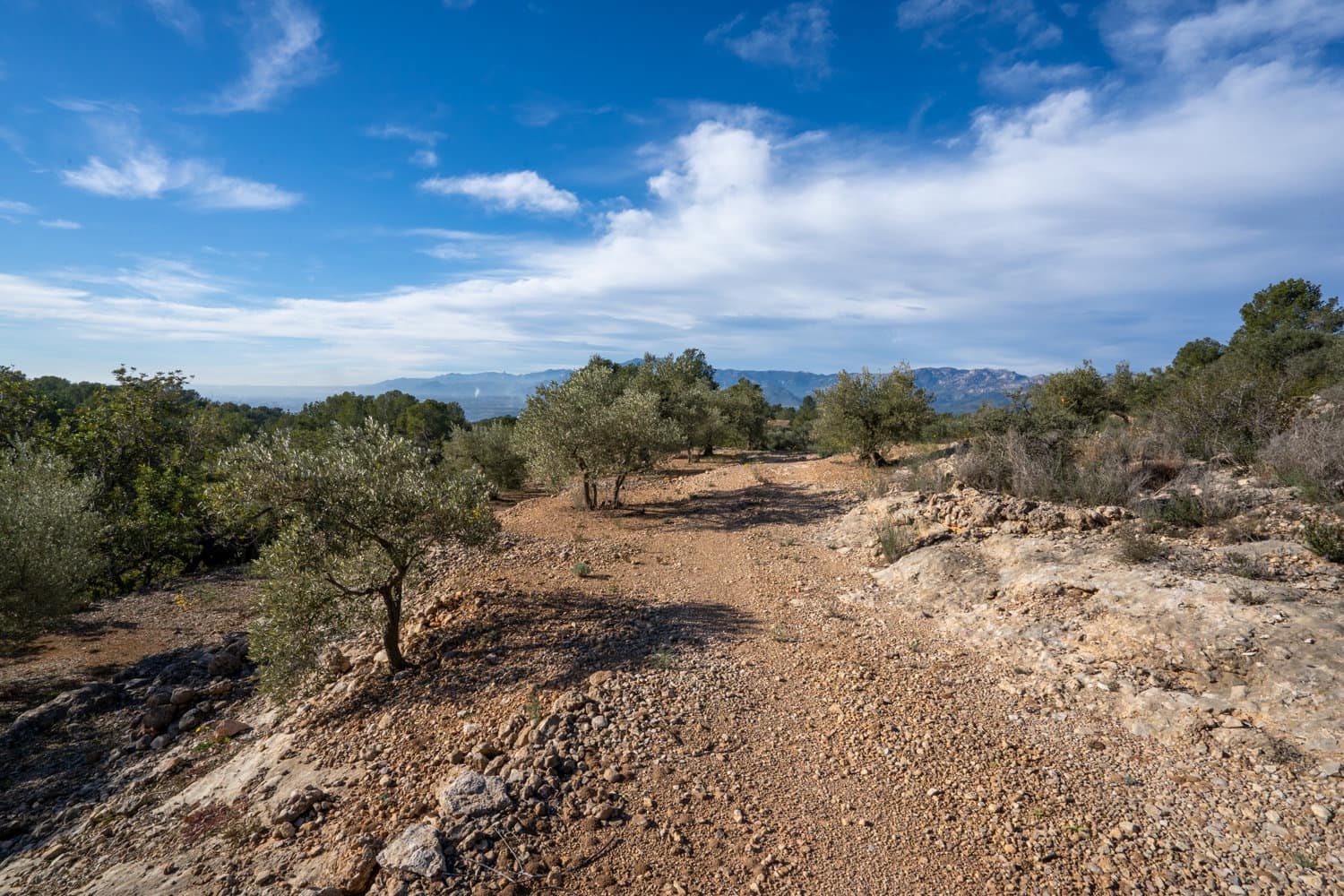 Finca/Landhuis te koop in Bitem - € 12.000 (Ref: 8727926)