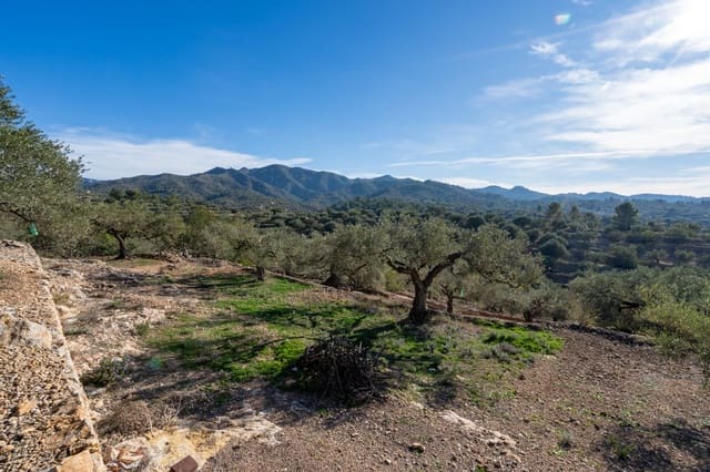 Finca/Herregård til salgs i Bitem, Tortosa - € 12 000 (Ref: 8727926)