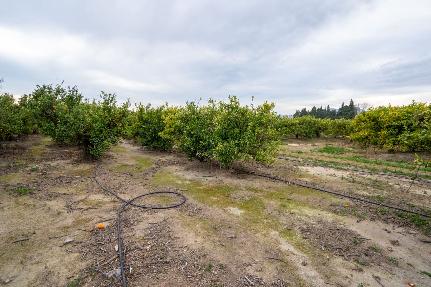 Finka/Dom wiejski na sprzedaż w Tortosa - 53 000 € (Ref: 8736615)