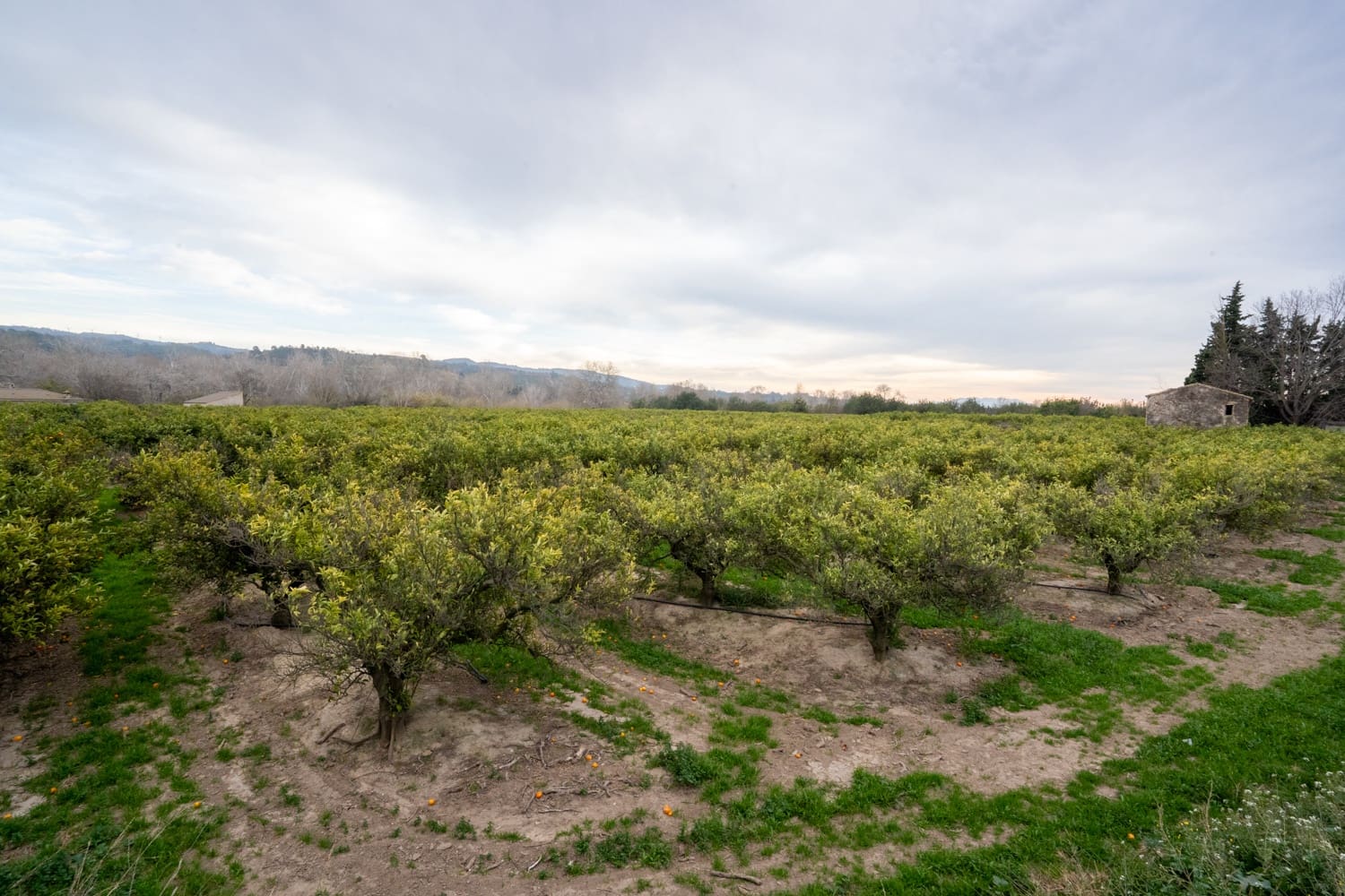 Finka/Dom wiejski na sprzedaż w Tortosa - 53 000 € (Ref: 8736615)