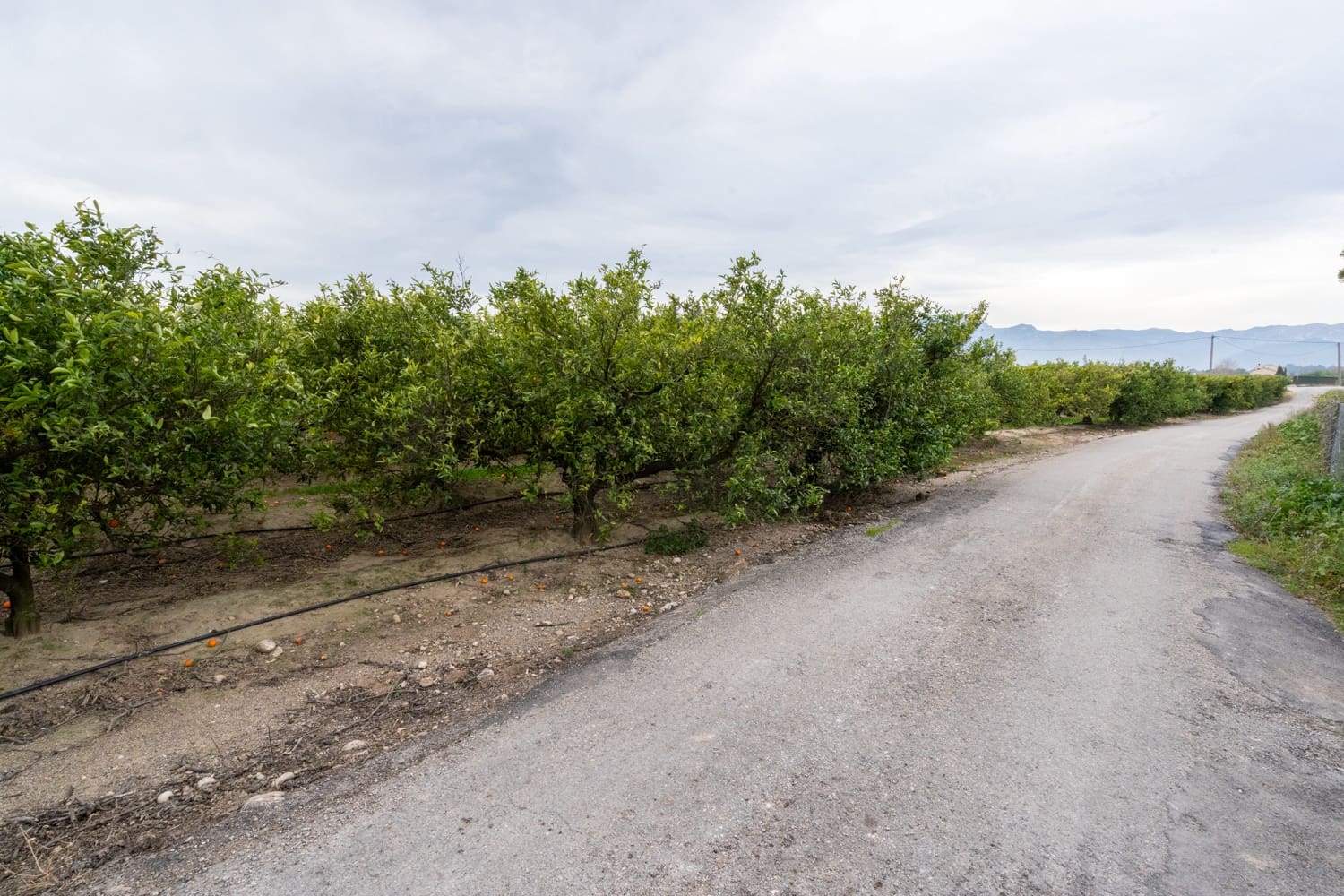 Finka/Dom wiejski na sprzedaż w Tortosa - 53 000 € (Ref: 8736615)