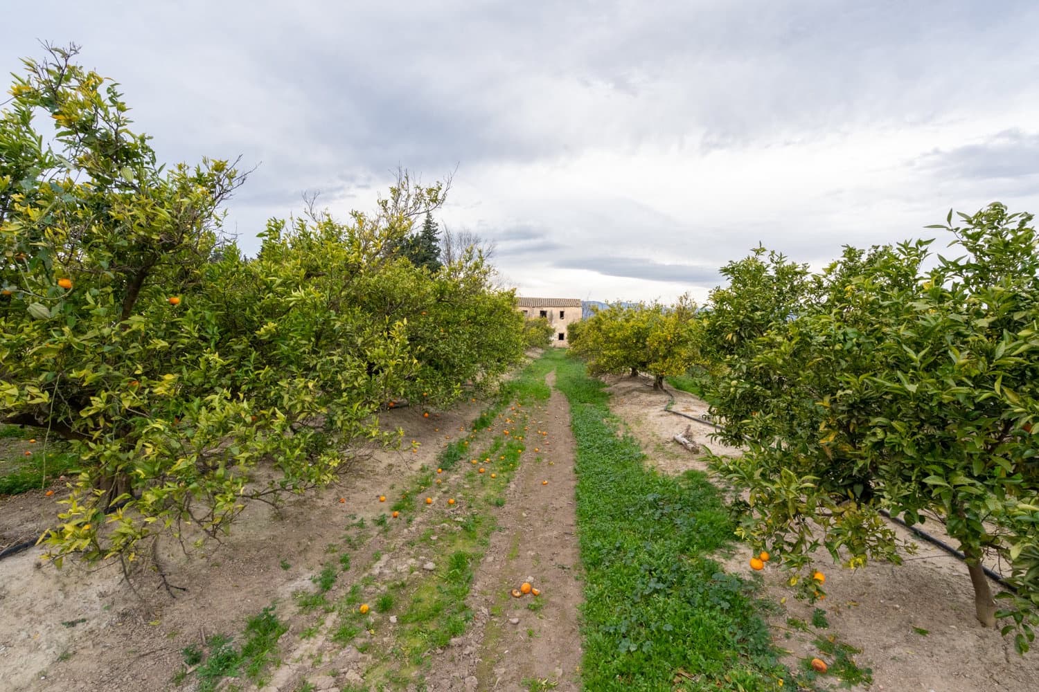 Finca/Country House for sale in Tortosa - € 53,000 (Ref: 8736615)