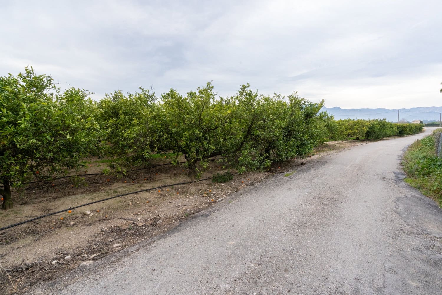Finca/Country House for sale in Tortosa - € 53,000 (Ref: 8736615)