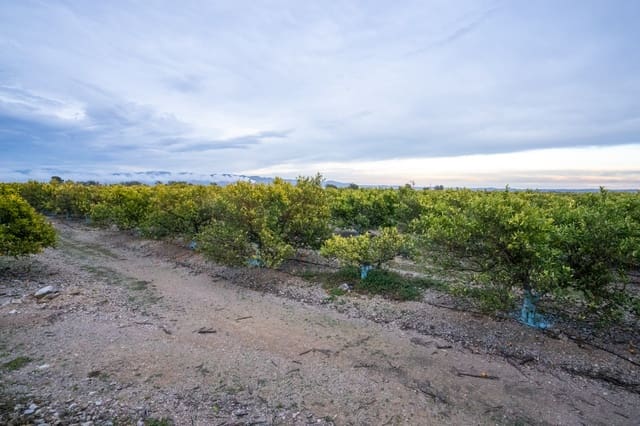 Finca/Herregård til salgs i Vinallop, Tortosa - € 120 000 (Ref: 8737041)