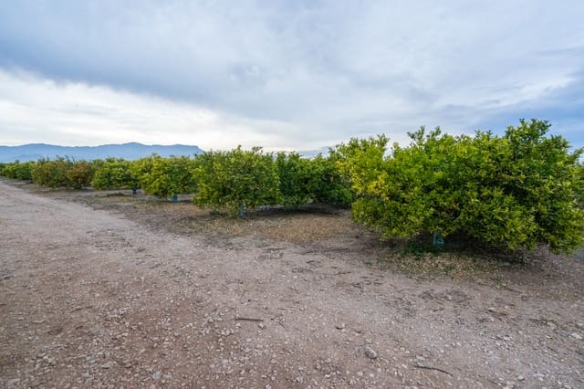 Finca/Herregård til salgs i Vinallop, Tortosa - € 120 000 (Ref: 8737041)