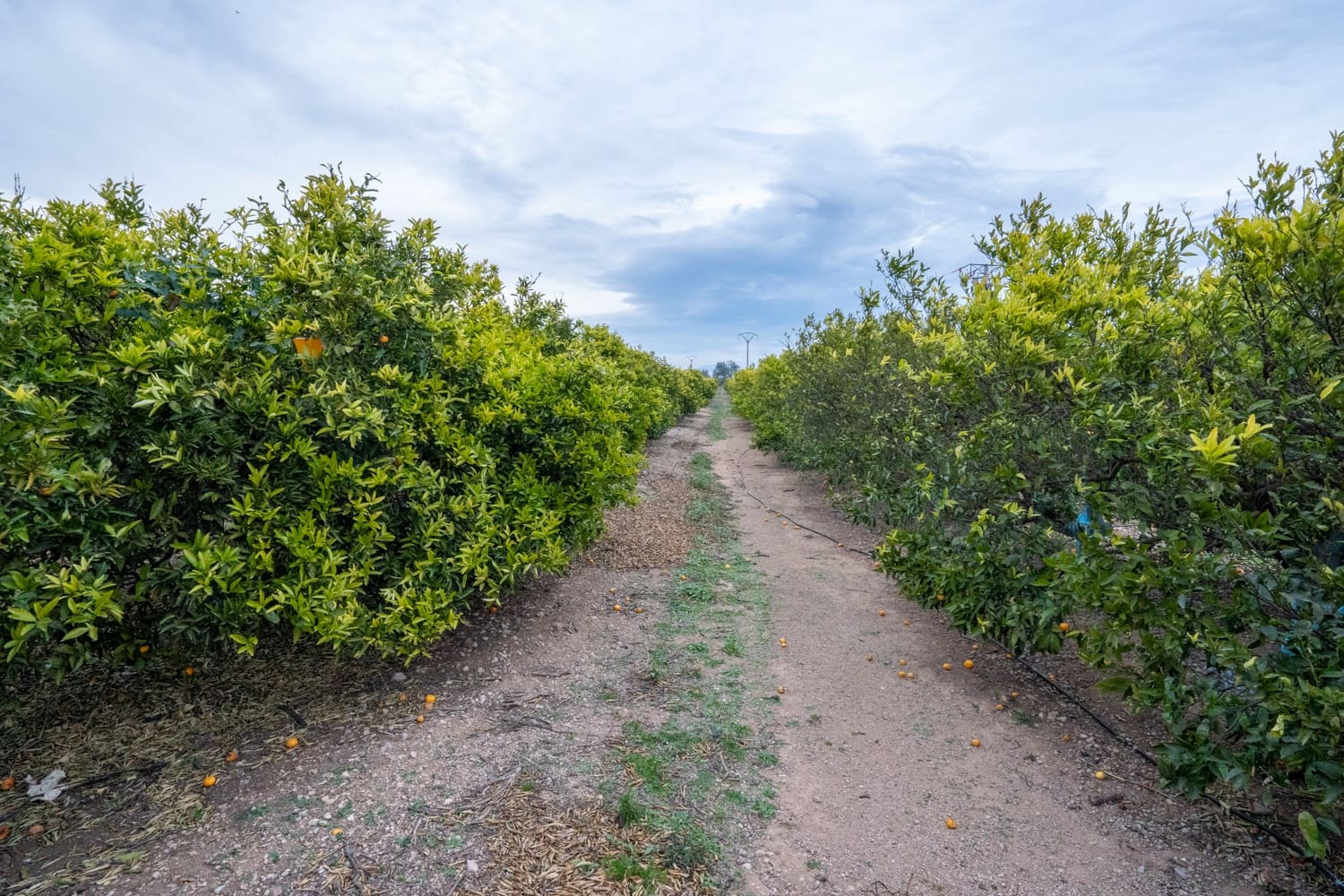 Finca/Maison de Campagne à vendre à Vinallop - 120 000 € (Ref: 8737041)