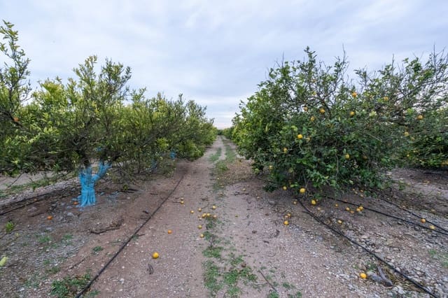 Finca/Casa Rural en Tortosa en venta - 120.000 € (Ref: 8737041)