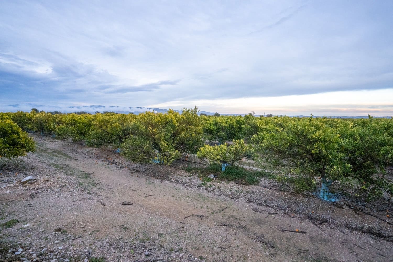 Finca/Landehus til salg i Tortosa - € 120.000 (Ref: 8737041)