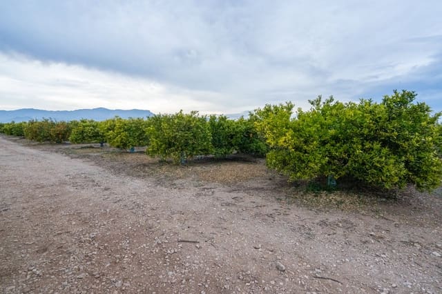 Finca/Casa Rural en Tortosa en venta - 120.000 € (Ref: 8737041)