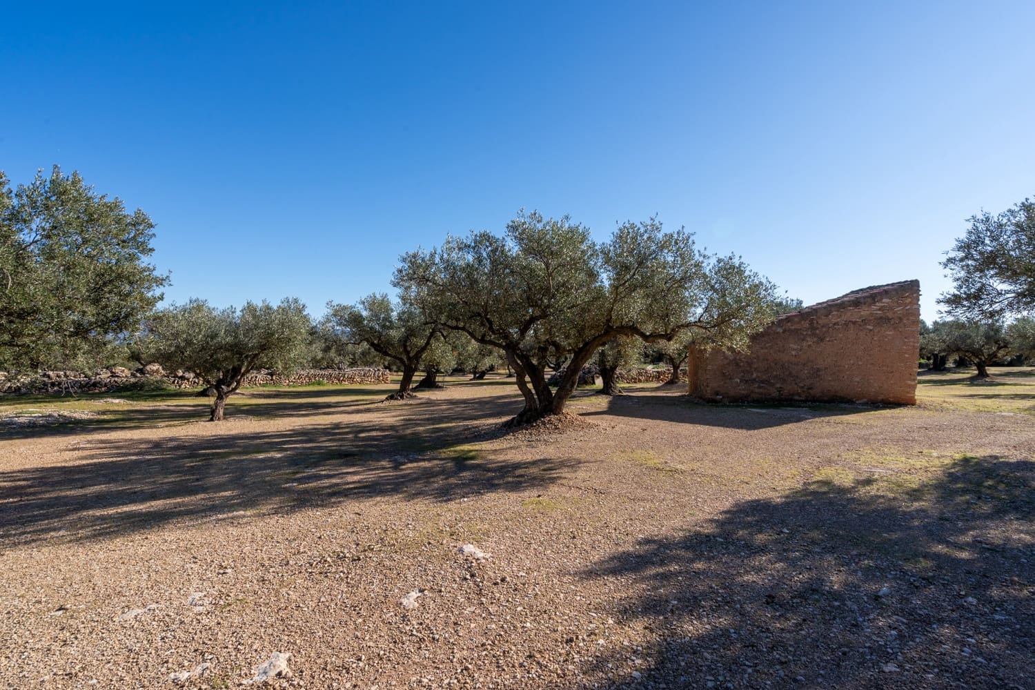 Quinta/Casa Rural para venda em Roquetes - 34 000 € (Ref: 8738888)