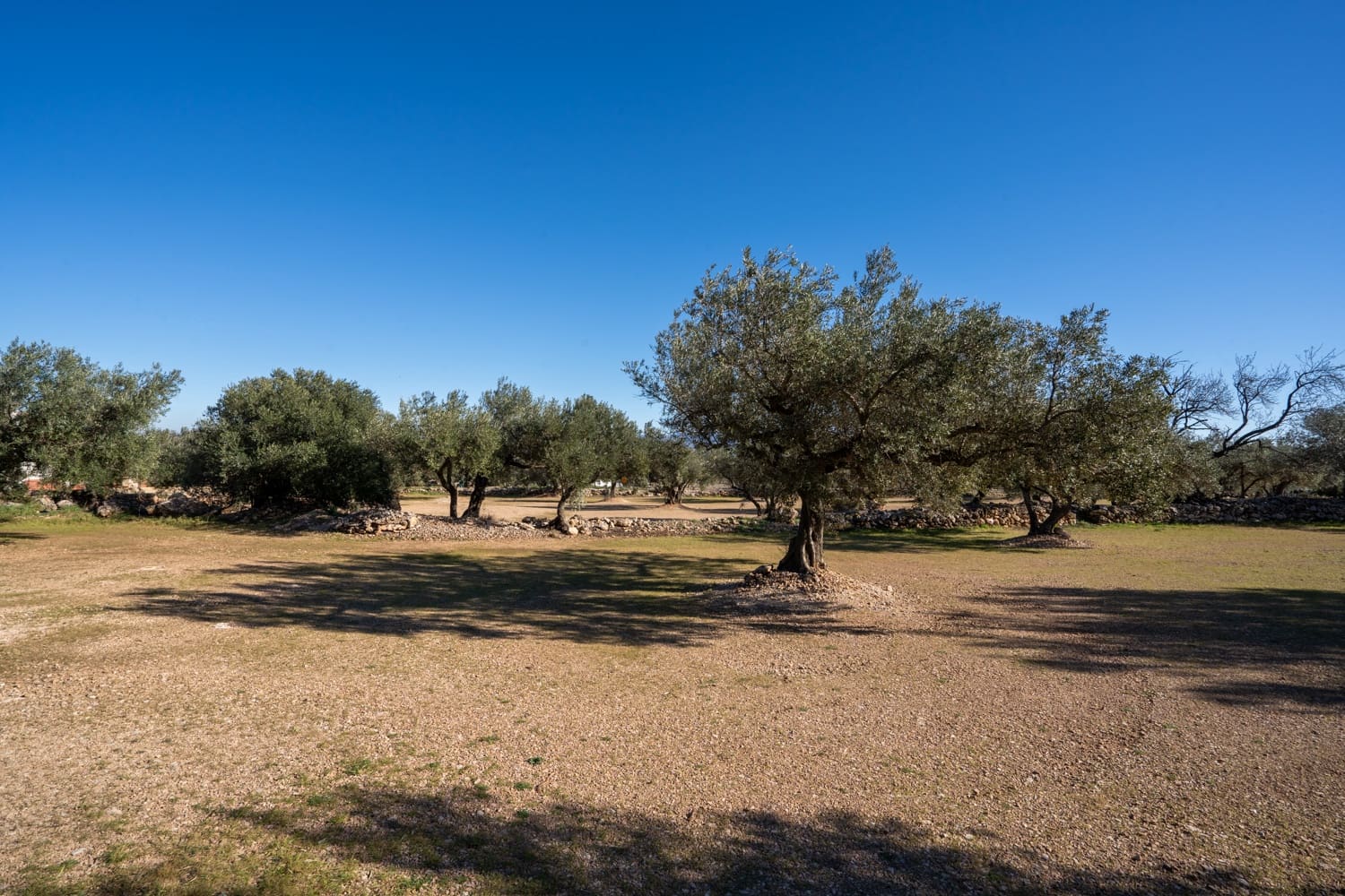 Quinta/Casa Rural para venda em Roquetes - 34 000 € (Ref: 8738888)