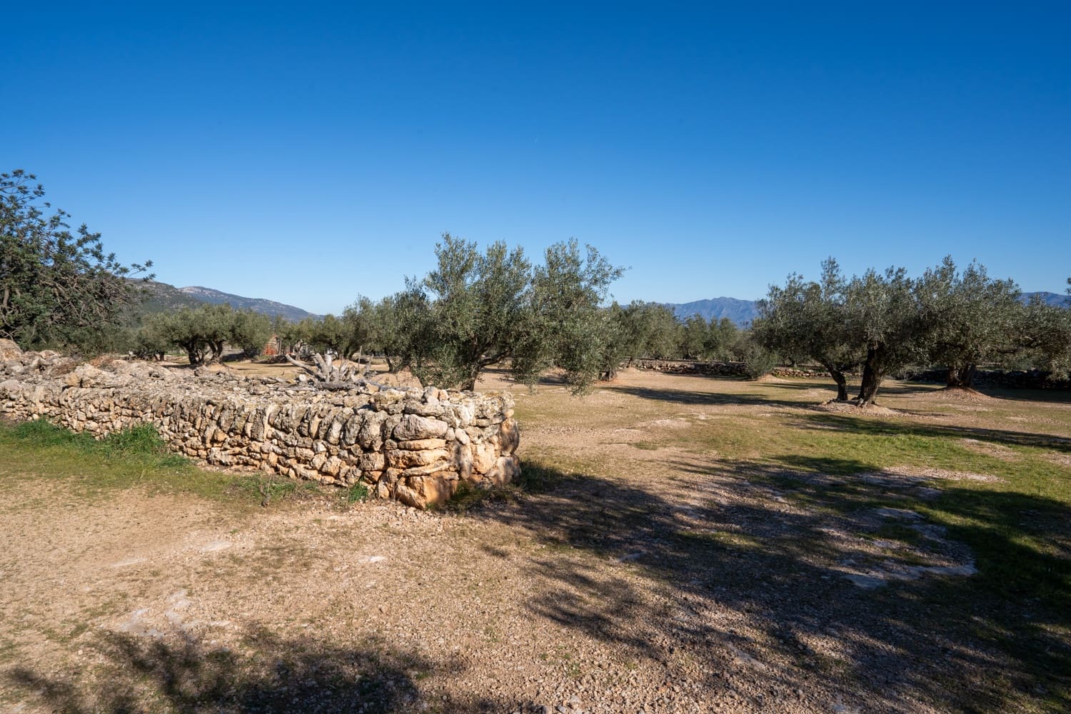Quinta/Casa Rural para venda em Roquetes - 34 000 € (Ref: 8738888)