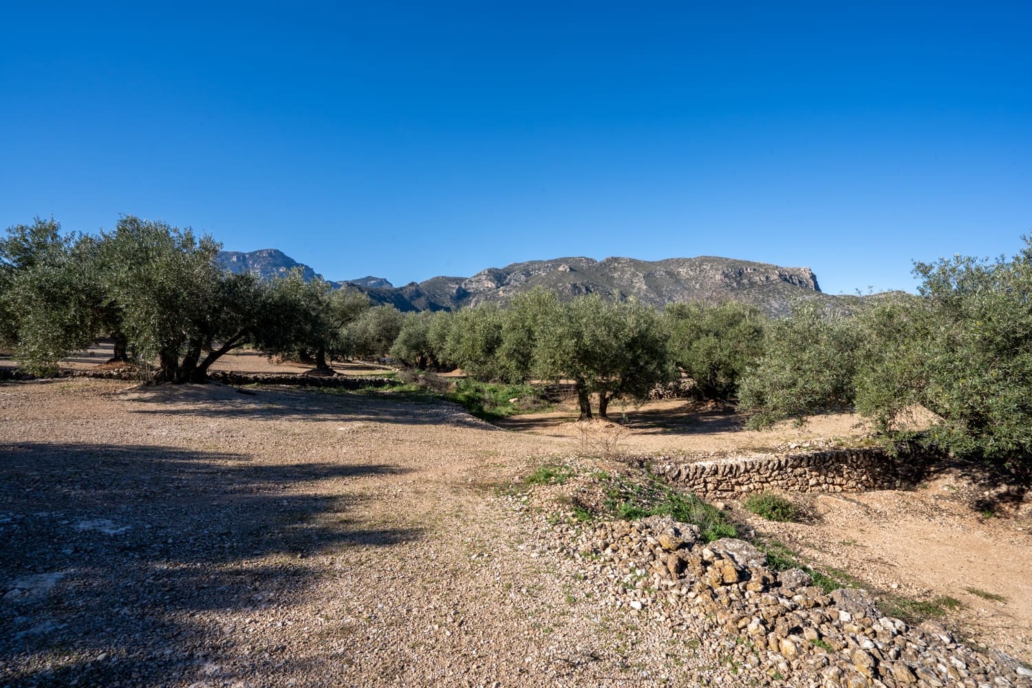 Quinta/Casa Rural para venda em Roquetes - 34 000 € (Ref: 8738888)