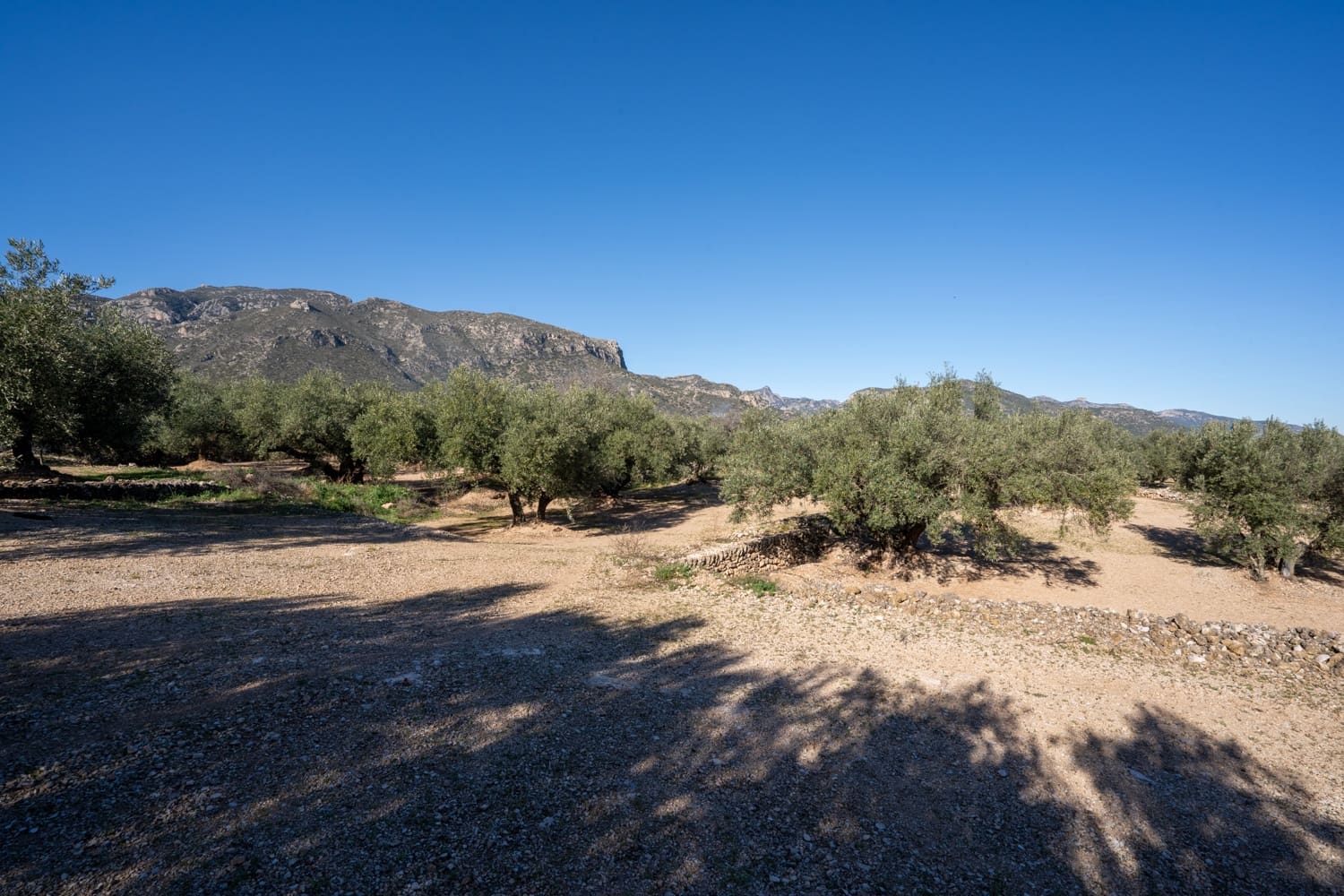 Quinta/Casa Rural para venda em Roquetes - 34 000 € (Ref: 8738888)