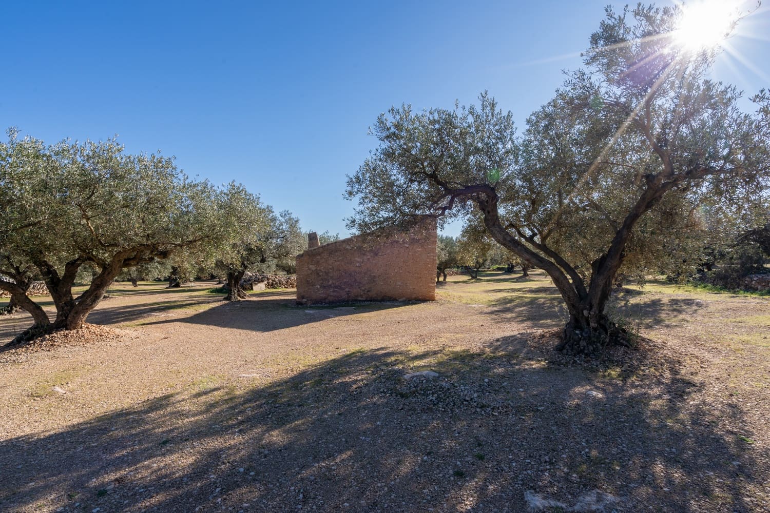 Quinta/Casa Rural para venda em Roquetes - 34 000 € (Ref: 8738888)