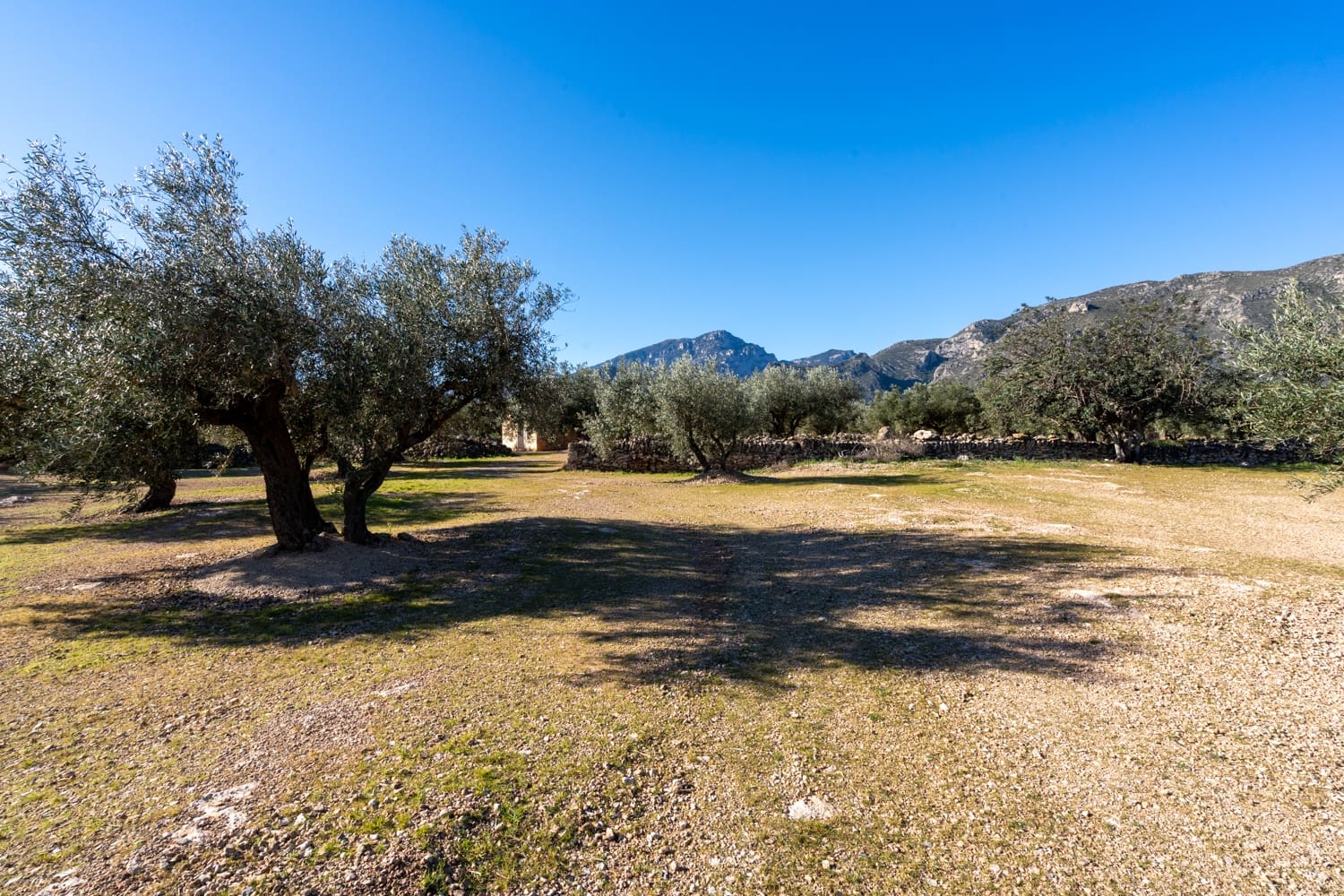 Quinta/Casa Rural para venda em Roquetes - 34 000 € (Ref: 8738888)