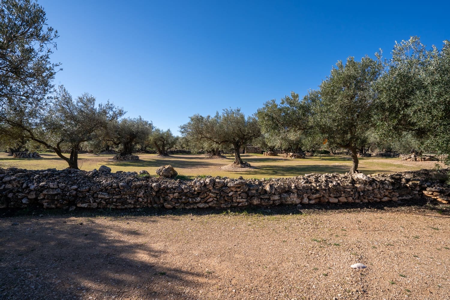 Quinta/Casa Rural para venda em Roquetes - 34 000 € (Ref: 8738888)