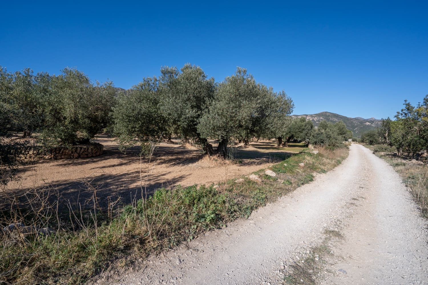 Quinta/Casa Rural para venda em Roquetes - 34 000 € (Ref: 8738888)
