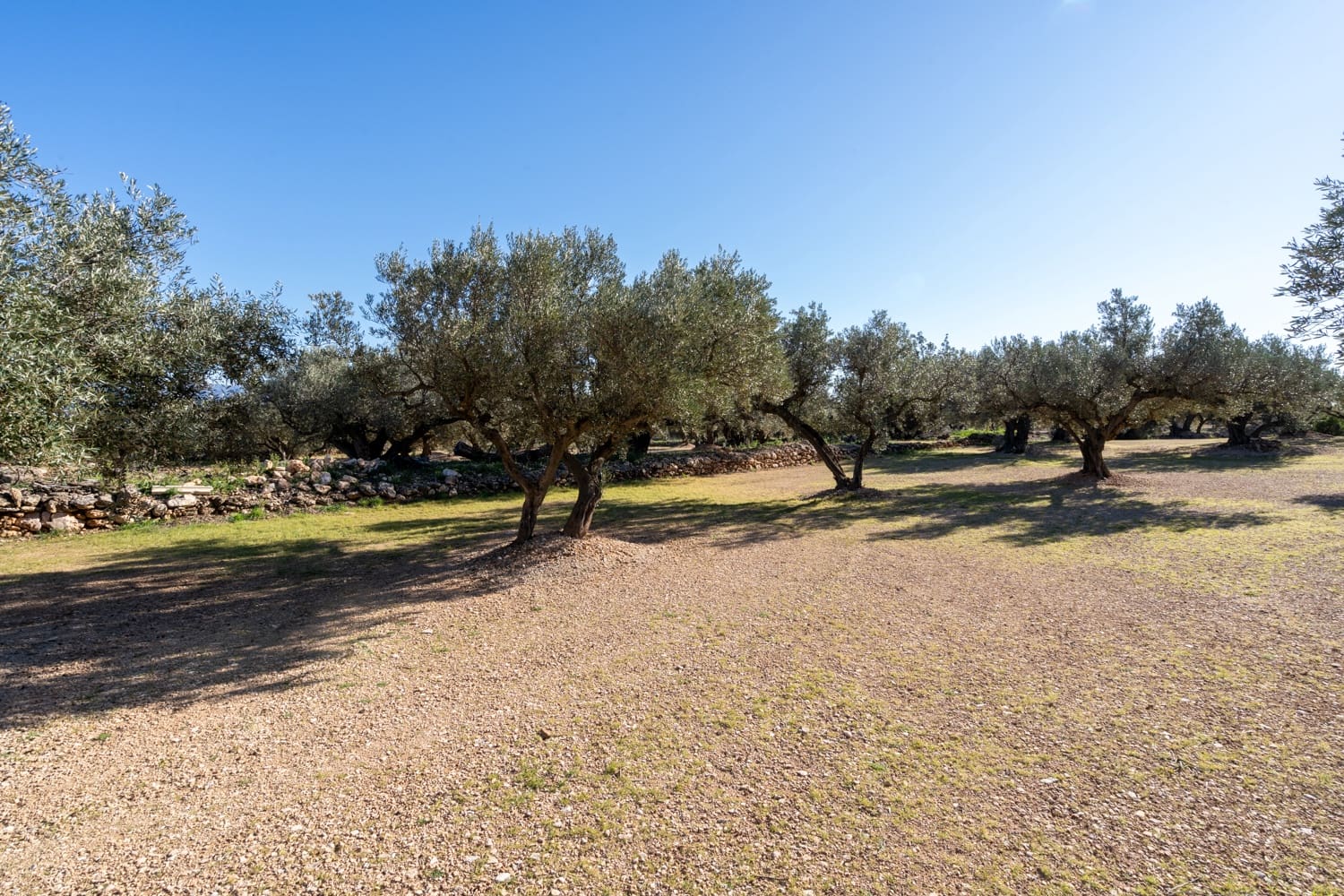 Quinta/Casa Rural para venda em Roquetes - 34 000 € (Ref: 8738888)