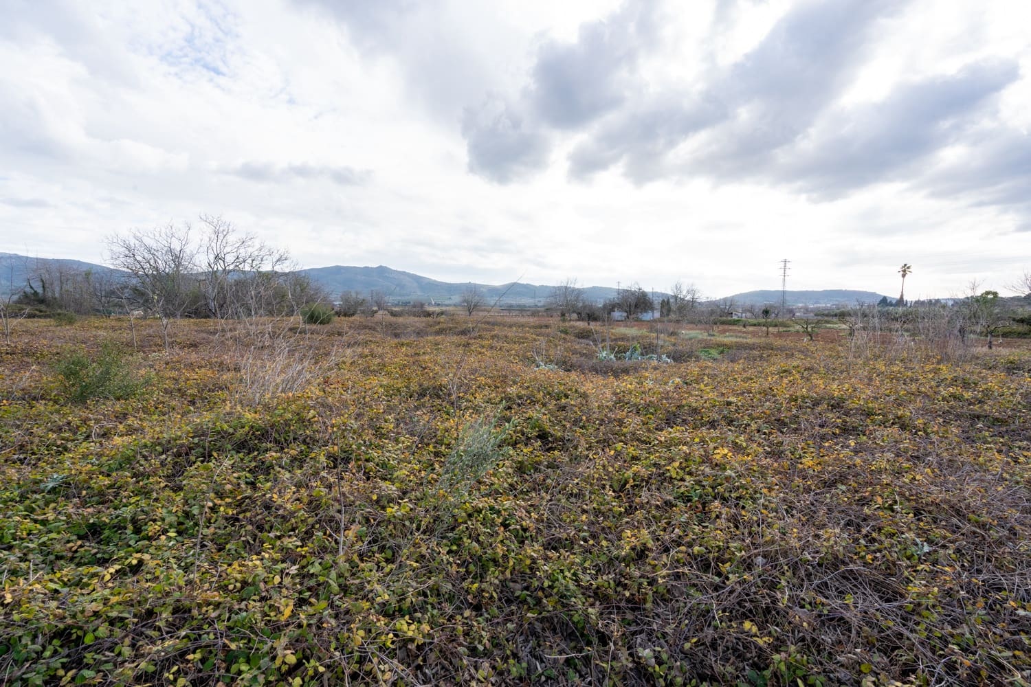 Finca/Landehus til salg i Ulldecona - € 6.500 (Ref: 8748348)