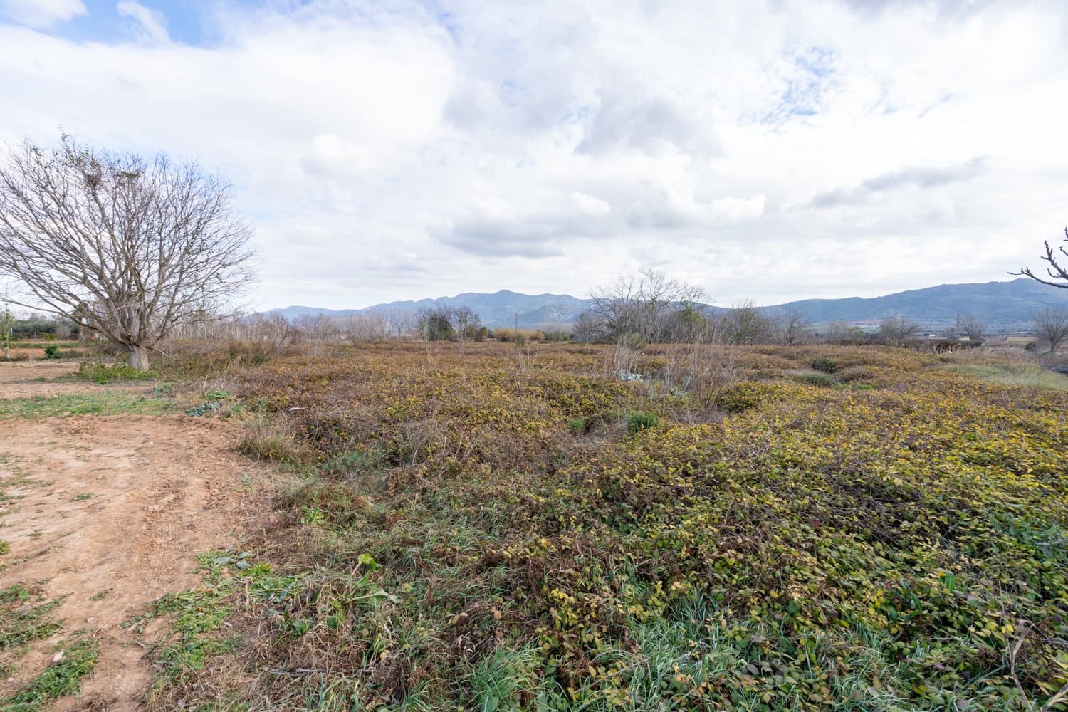 Finca/Landehus til salg i Ulldecona - € 6.000 (Ref: 8748348)