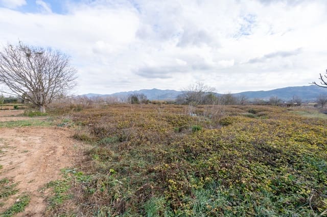 Quinta/Casa Rural para venda em Ulldecona - 6 000 € (Ref: 8748348)