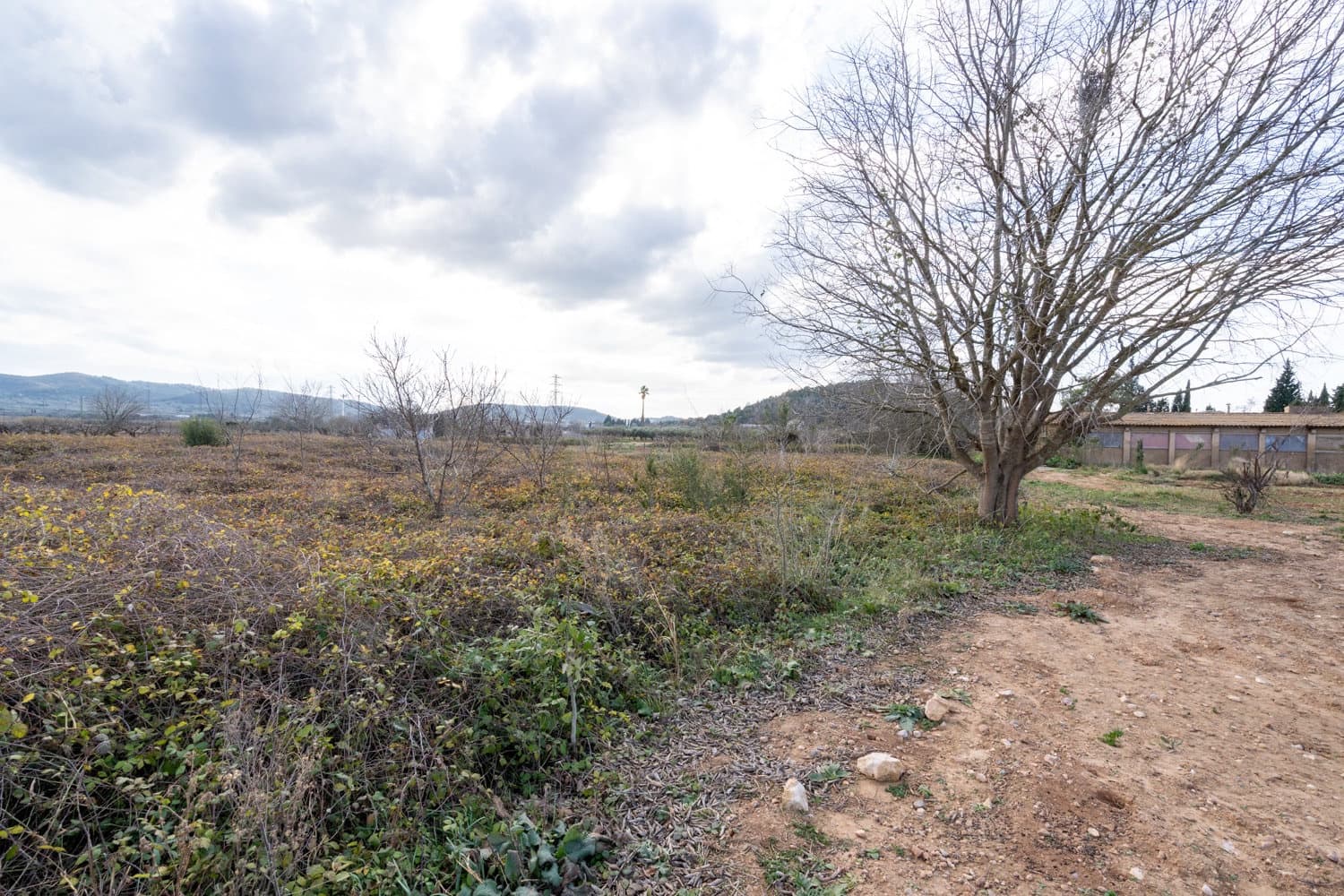 Finca/Landehus til salg i Ulldecona - € 6.000 (Ref: 8748348)