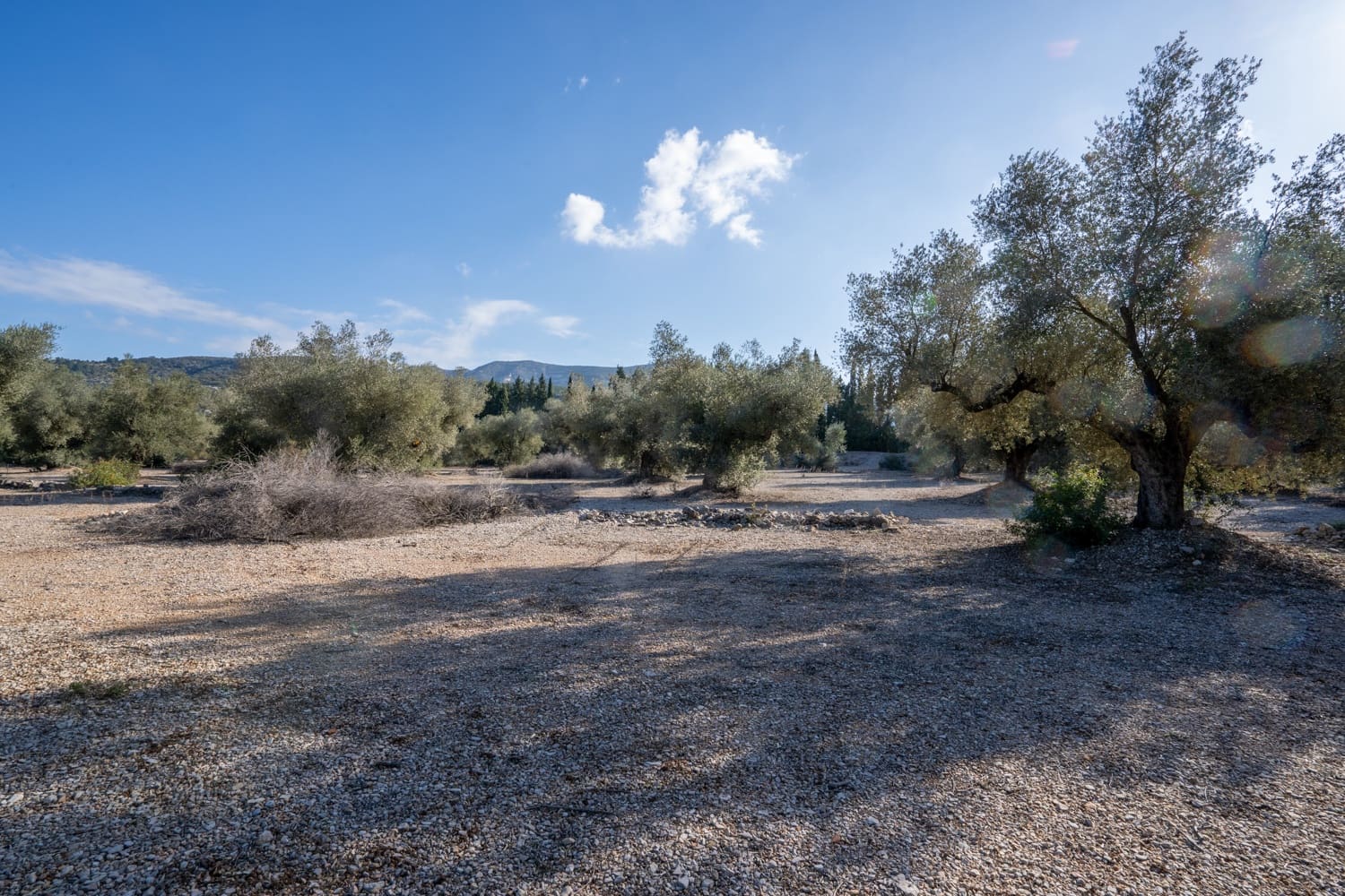 Finca/Herregård til salgs i Ulldecona - € 15 000 (Ref: 8748349)