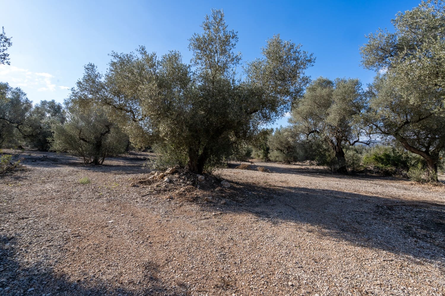 Finca/Herregård til salgs i Ulldecona - € 15 000 (Ref: 8748349)