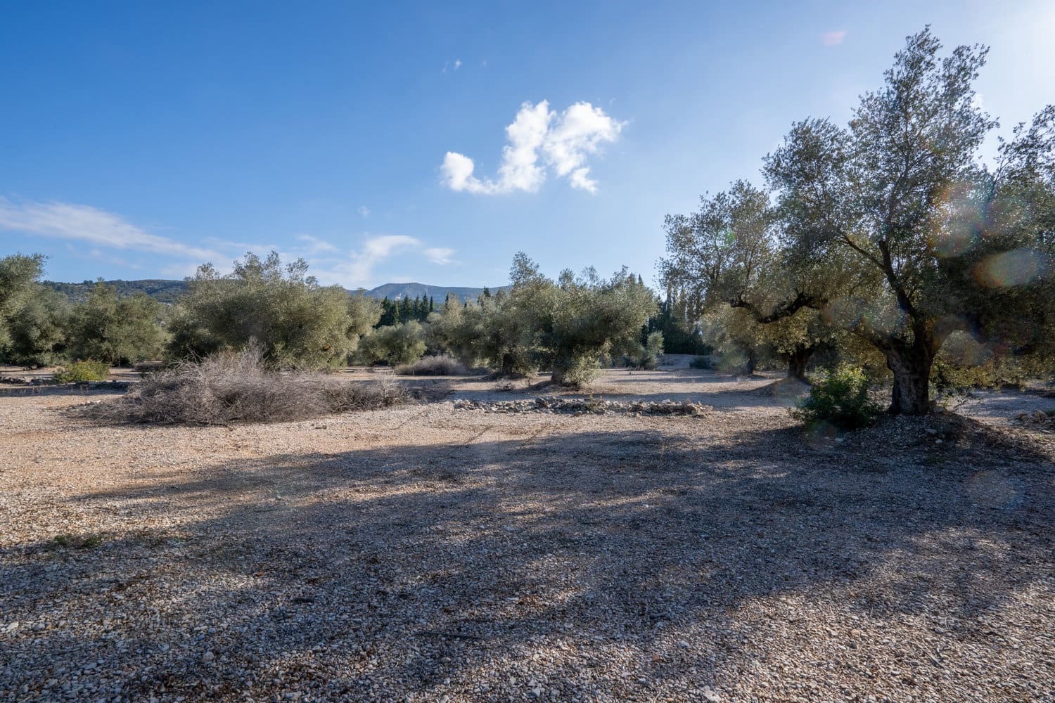 Finka/Dom wiejski na sprzedaż w Ulldecona - 12 500 € (Ref: 8748349)
