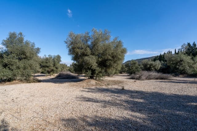 Quinta/Casa Rural para venda em Ulldecona - 12 500 € (Ref: 8748349)