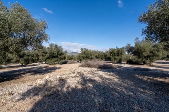 Quinta/Casa Rural para venda em Ulldecona - 12 500 € (Ref: 8748349)