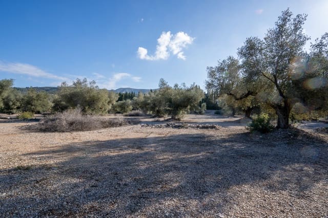 Quinta/Casa Rural para venda em Ulldecona - 12 500 € (Ref: 8748349)