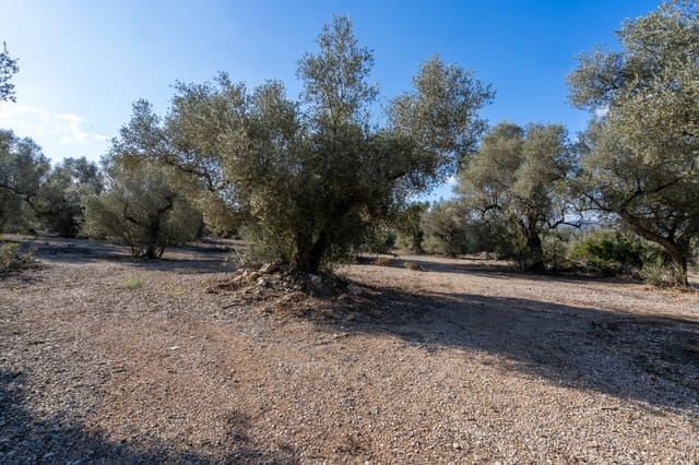 Quinta/Casa Rural para venda em Ulldecona - 12 500 € (Ref: 8748349)